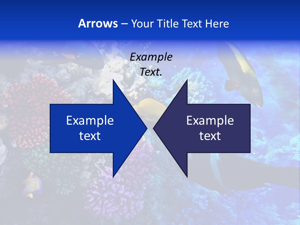 Many Ocean Depth PowerPoint Template