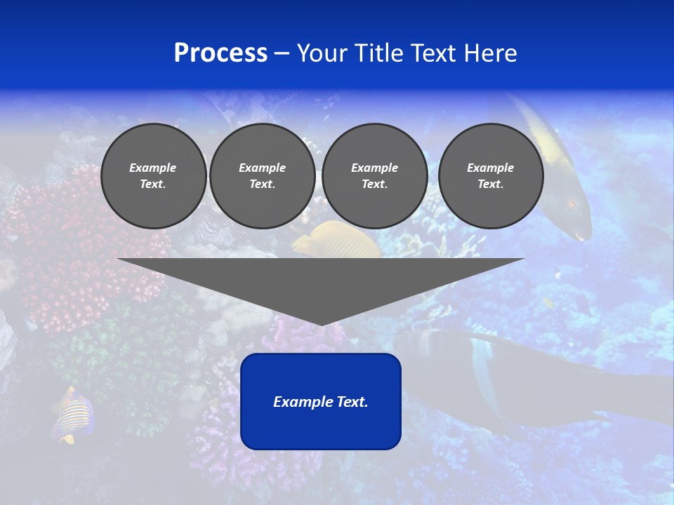 Many Ocean Depth PowerPoint Template