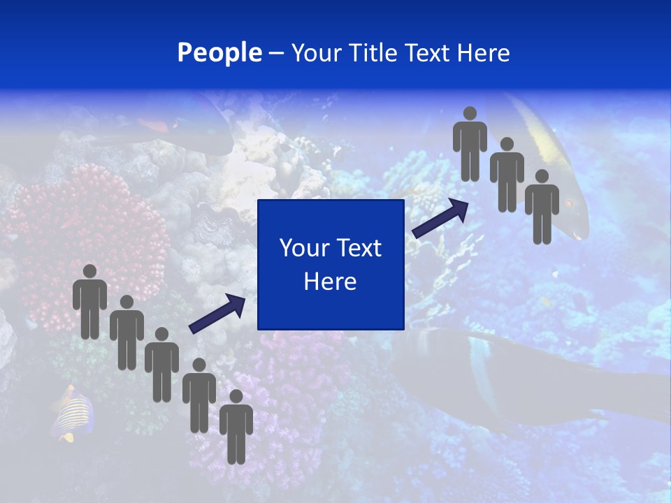 Many Ocean Depth PowerPoint Template