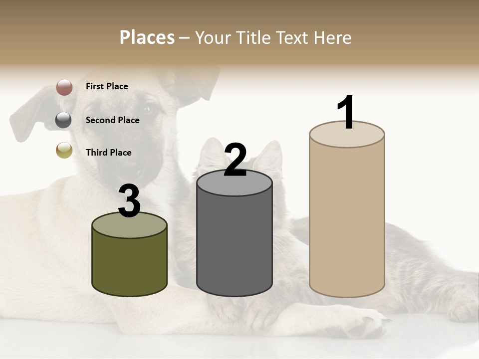 Muzzle Funny Youth PowerPoint Template