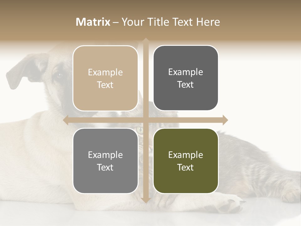 Muzzle Funny Youth PowerPoint Template