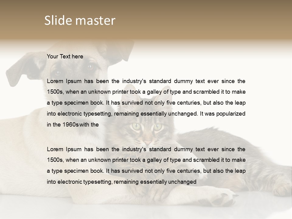 Muzzle Funny Youth PowerPoint Template