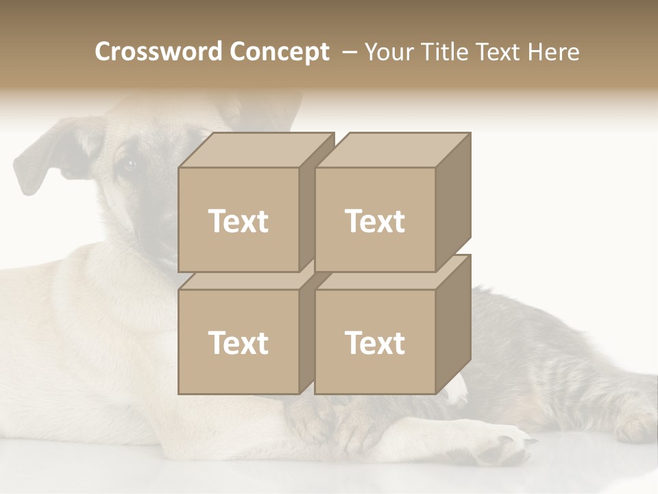 Muzzle Funny Youth PowerPoint Template