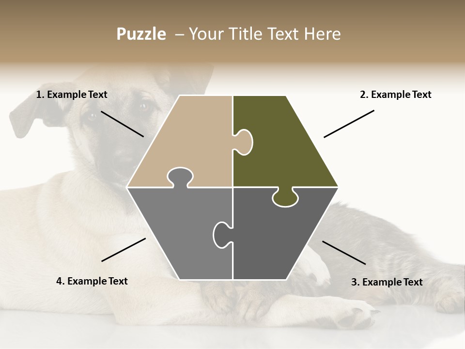 Muzzle Funny Youth PowerPoint Template