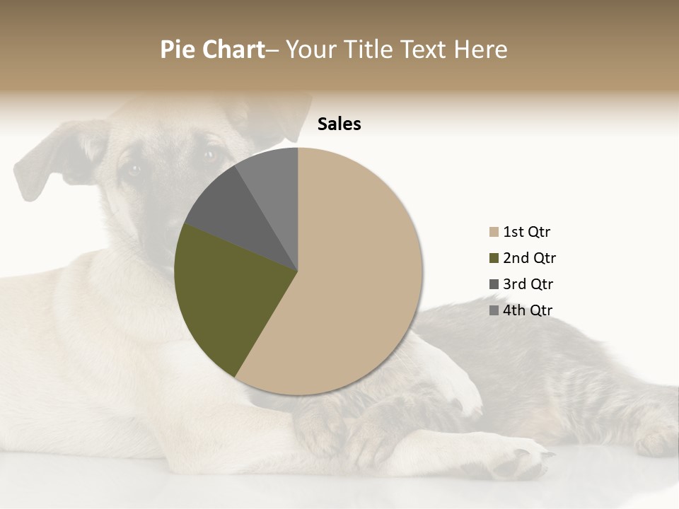 Muzzle Funny Youth PowerPoint Template