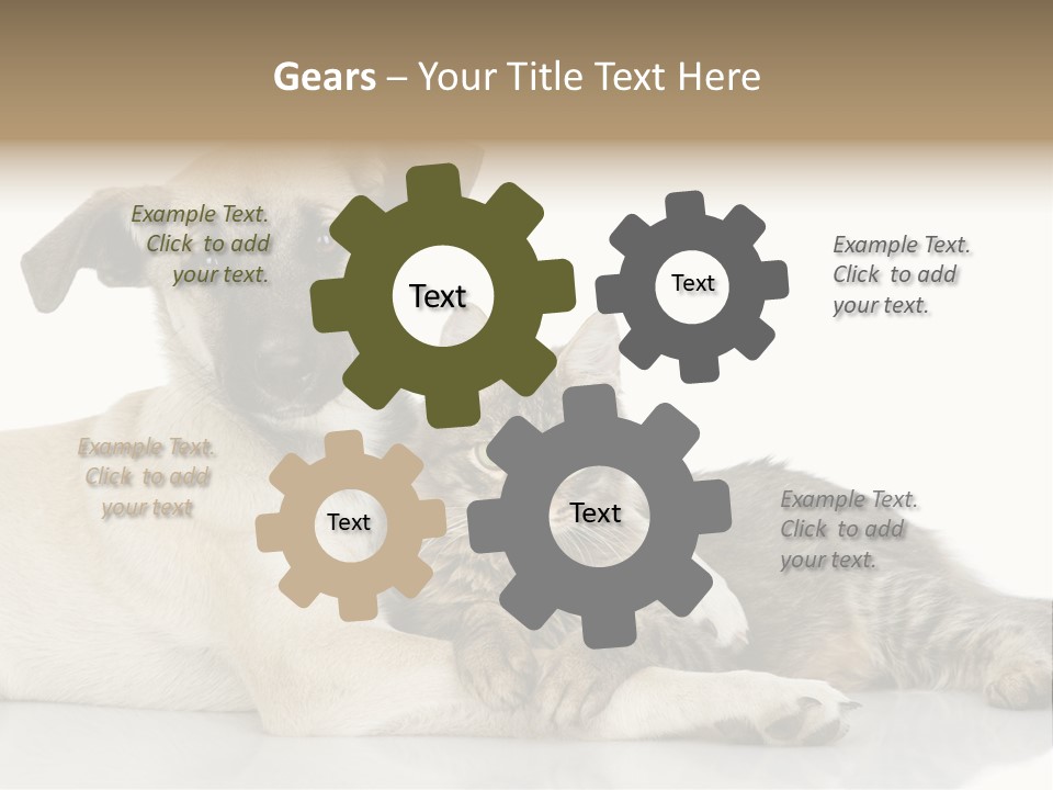 Muzzle Funny Youth PowerPoint Template