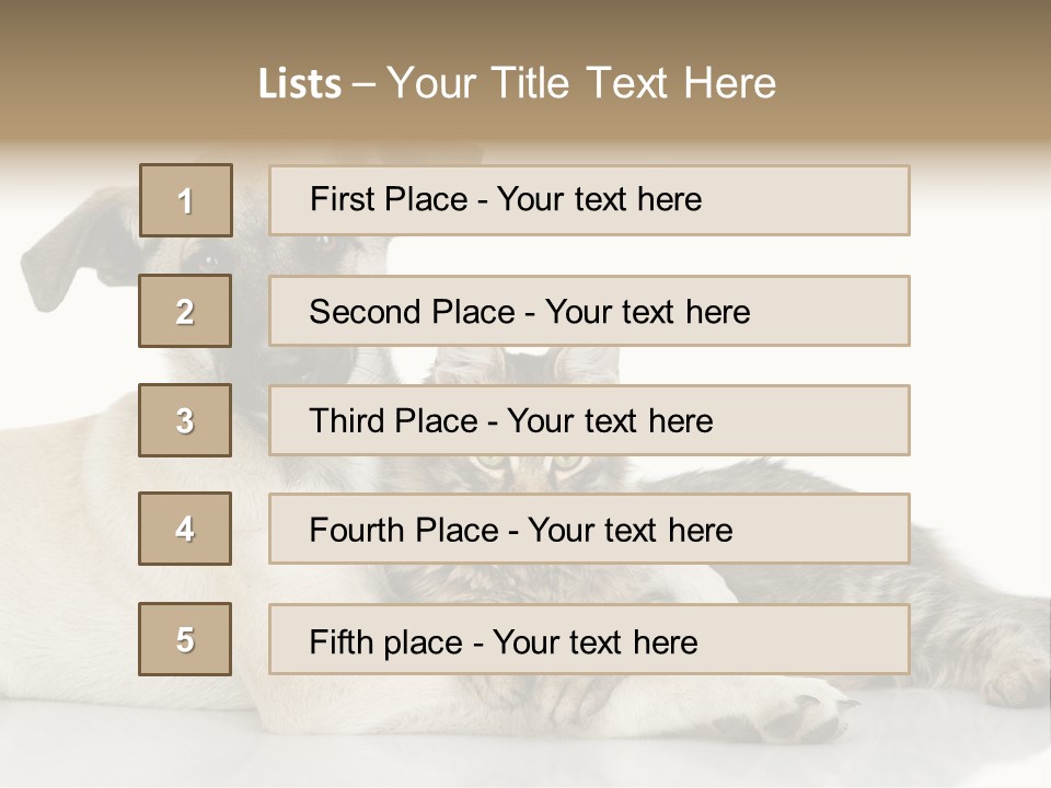 Muzzle Funny Youth PowerPoint Template