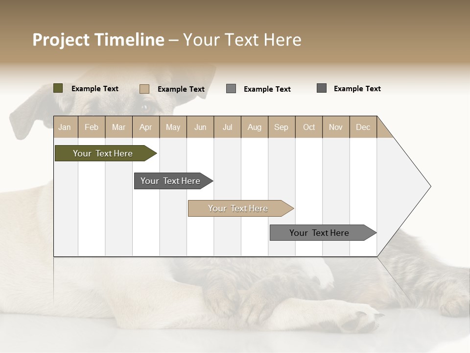 Muzzle Funny Youth PowerPoint Template