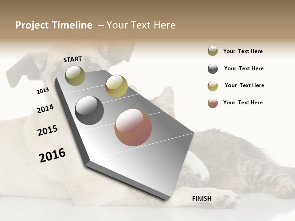 Muzzle Funny Youth PowerPoint Template