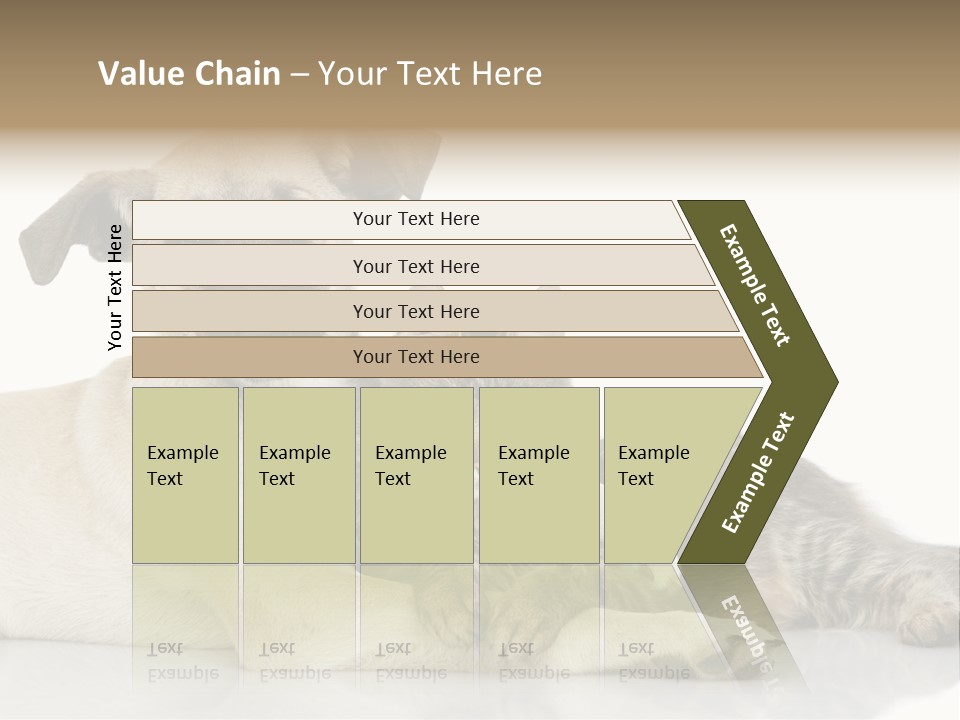 Muzzle Funny Youth PowerPoint Template