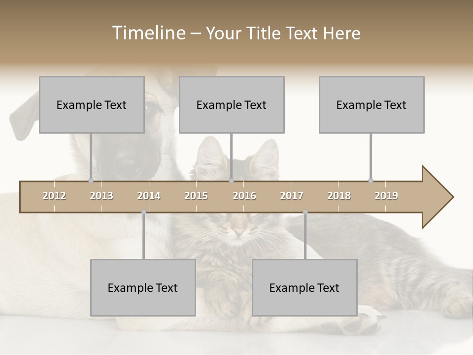 Muzzle Funny Youth PowerPoint Template