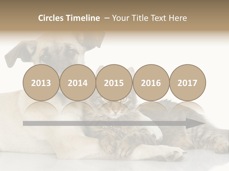 Muzzle Funny Youth PowerPoint Template