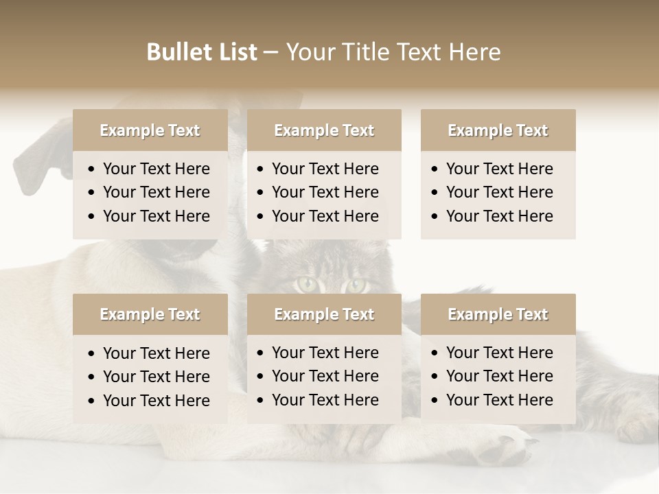 Muzzle Funny Youth PowerPoint Template