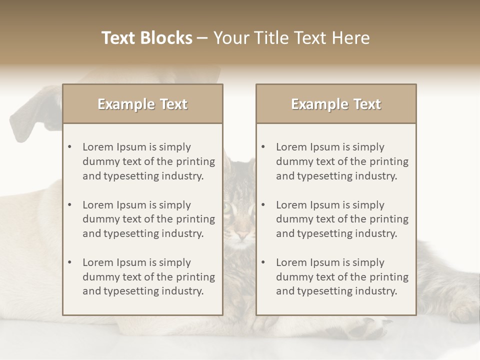 Muzzle Funny Youth PowerPoint Template