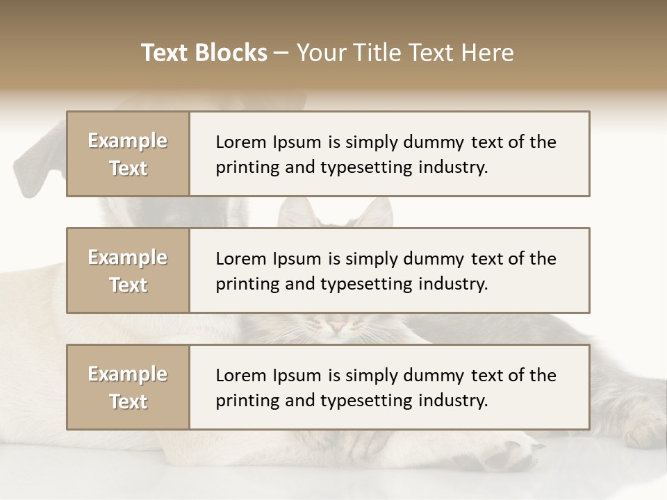 Muzzle Funny Youth PowerPoint Template