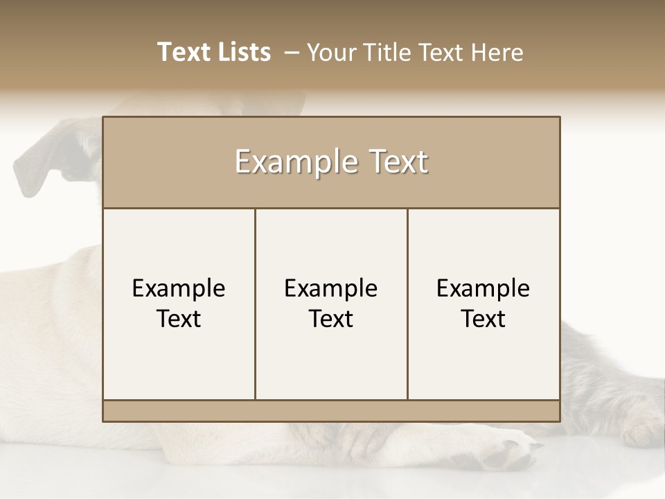 Muzzle Funny Youth PowerPoint Template