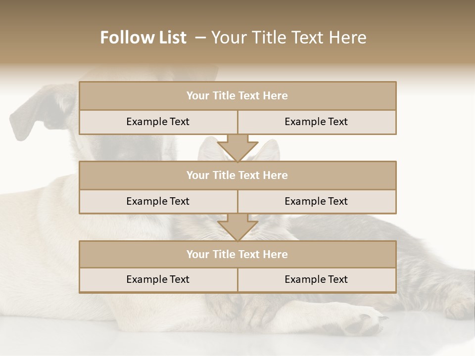 Muzzle Funny Youth PowerPoint Template