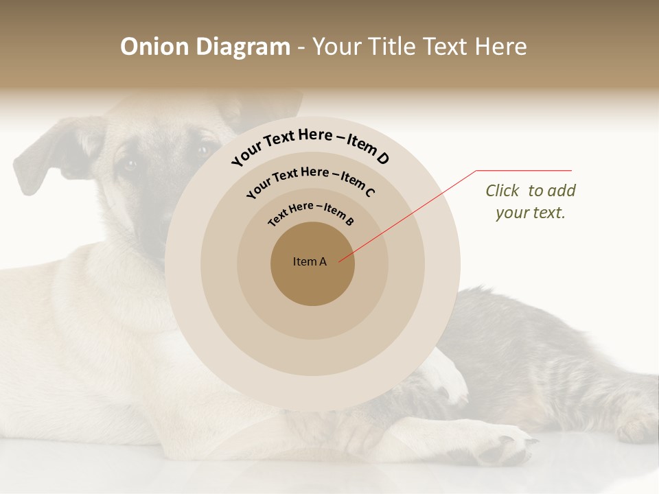Muzzle Funny Youth PowerPoint Template