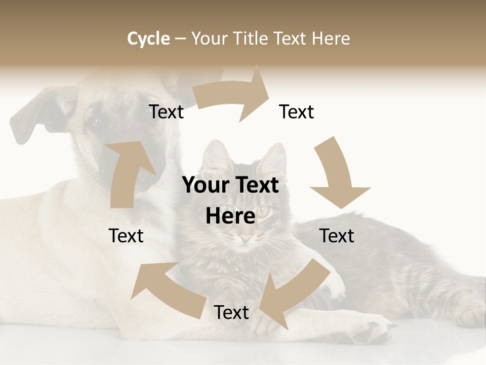 Muzzle Funny Youth PowerPoint Template