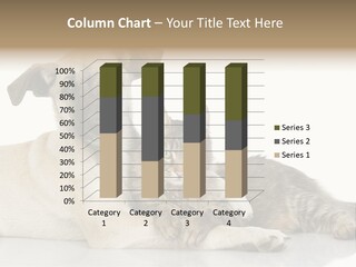 Muzzle Funny Youth PowerPoint Template