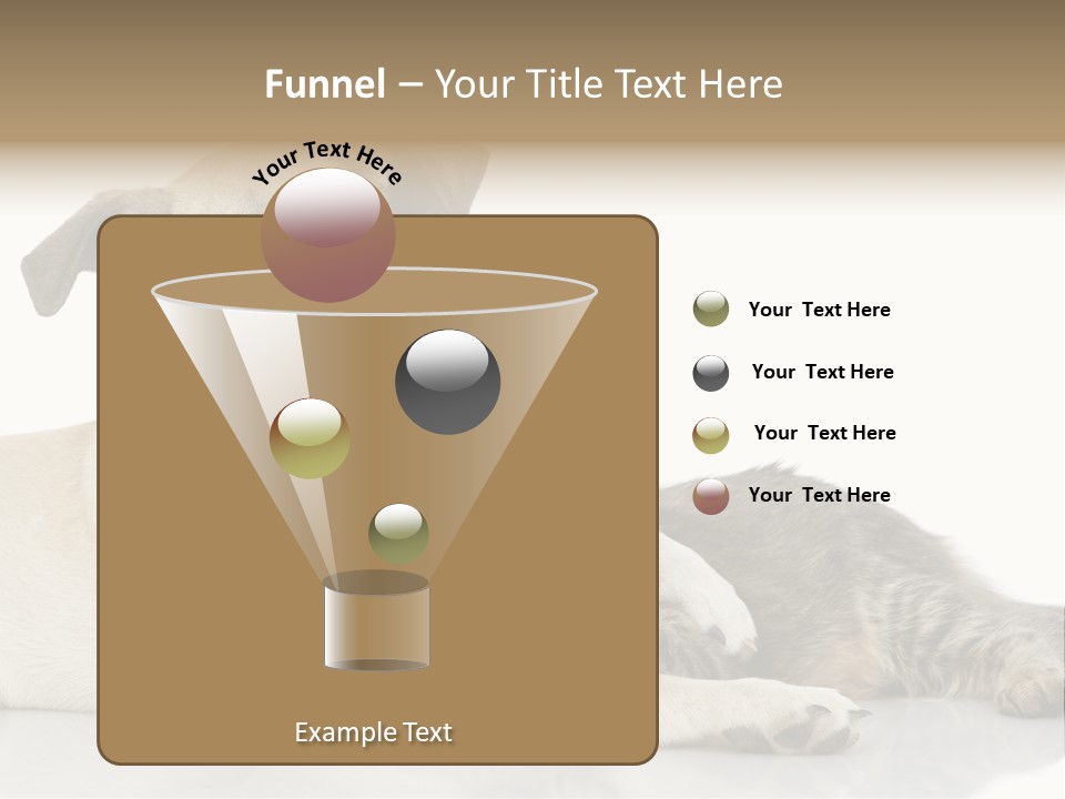 Muzzle Funny Youth PowerPoint Template