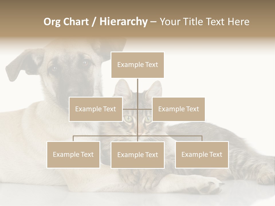 Muzzle Funny Youth PowerPoint Template