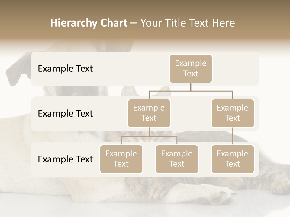 Muzzle Funny Youth PowerPoint Template