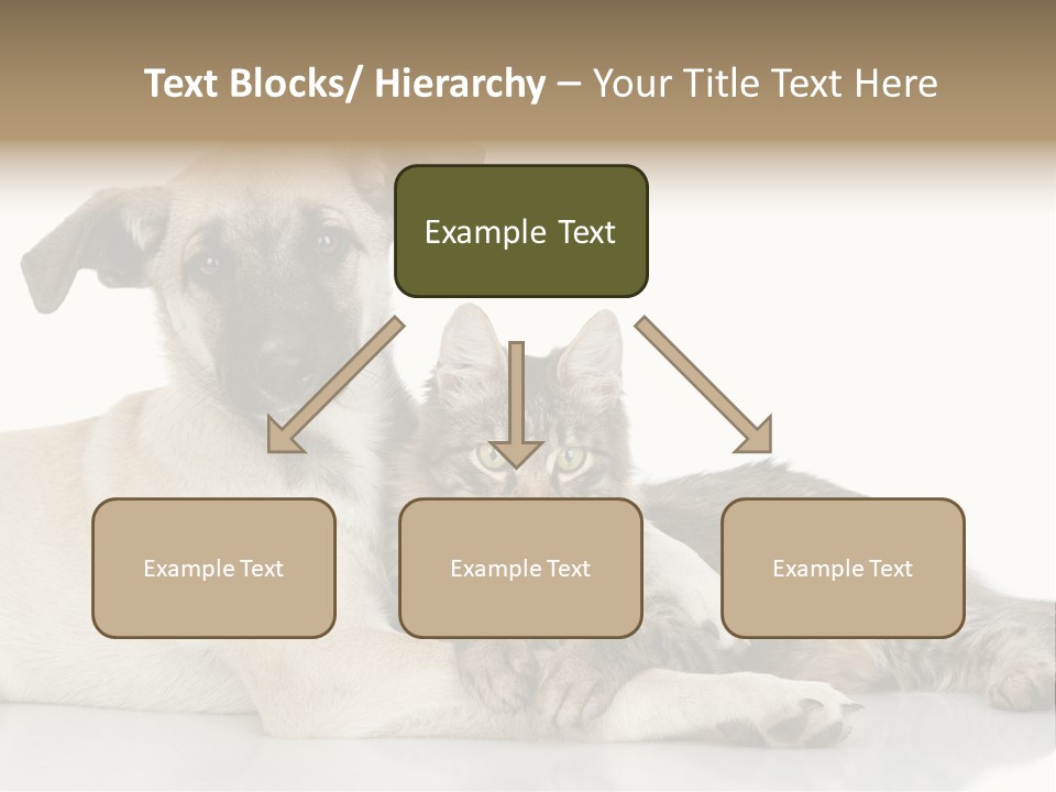 Muzzle Funny Youth PowerPoint Template