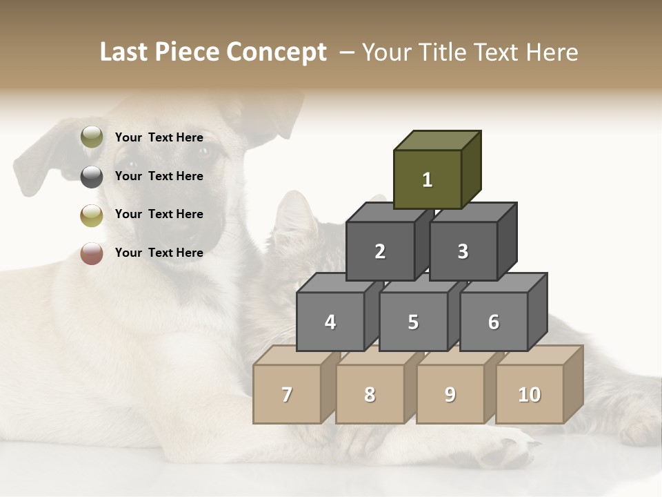 Muzzle Funny Youth PowerPoint Template