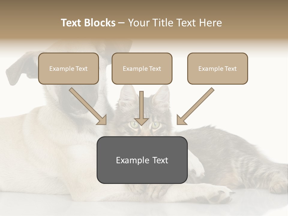 Muzzle Funny Youth PowerPoint Template