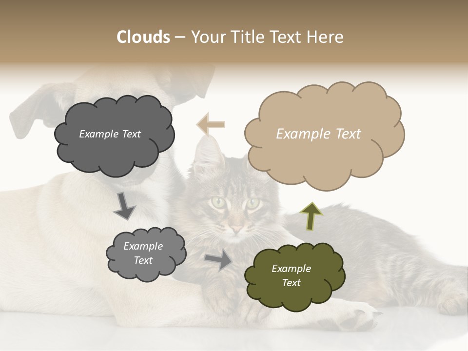 Muzzle Funny Youth PowerPoint Template
