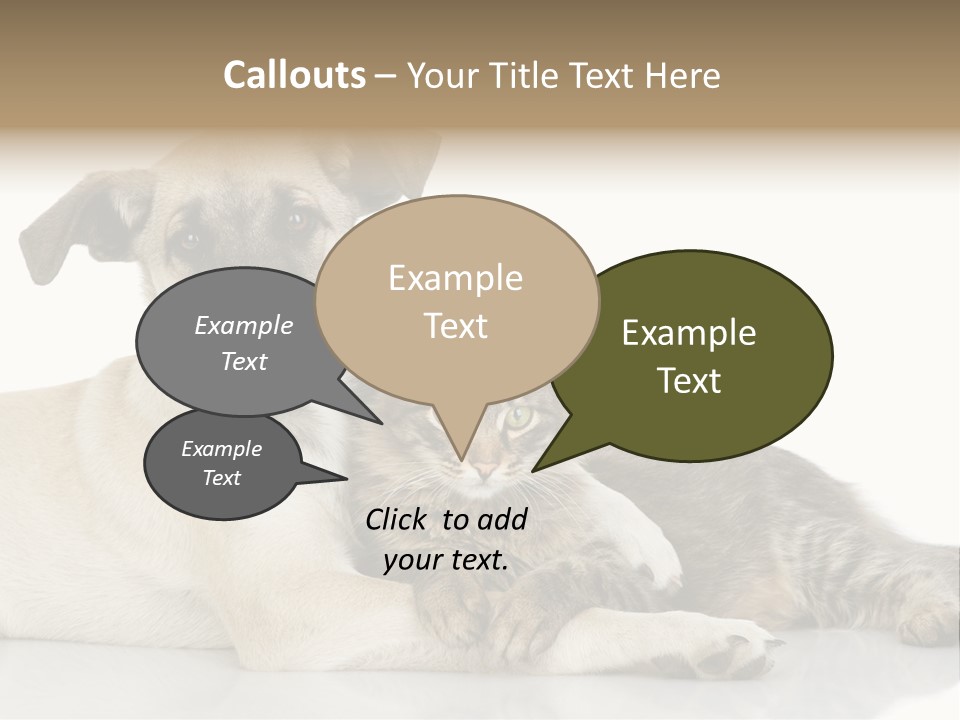 Muzzle Funny Youth PowerPoint Template