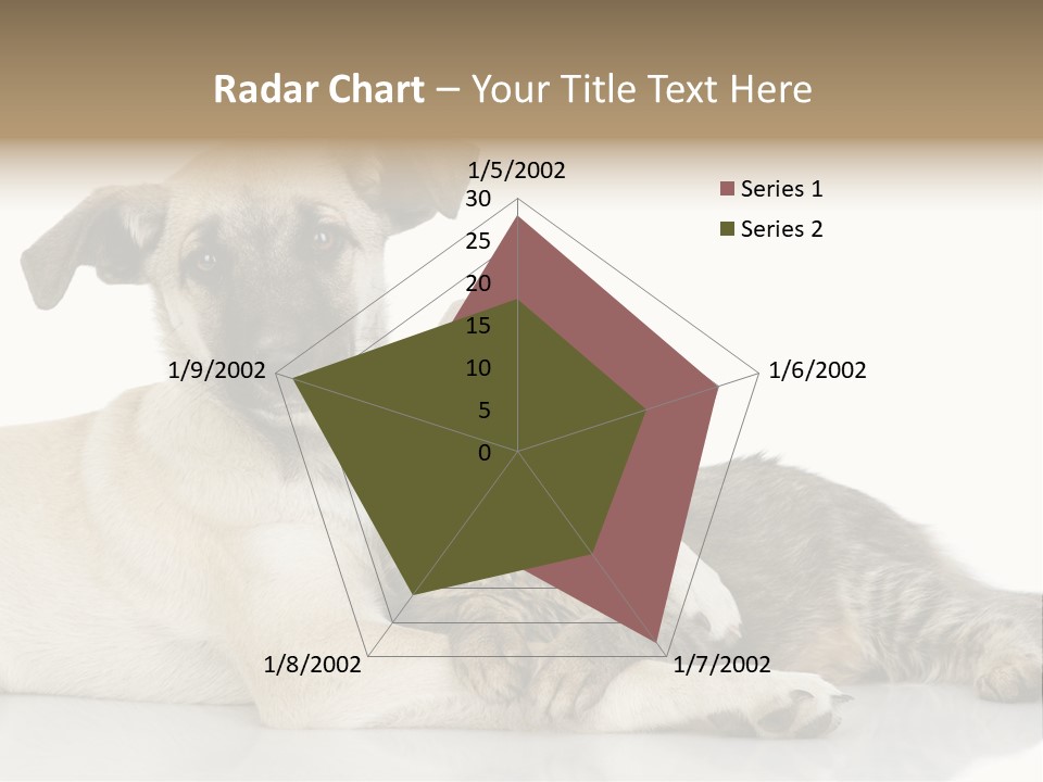 Muzzle Funny Youth PowerPoint Template