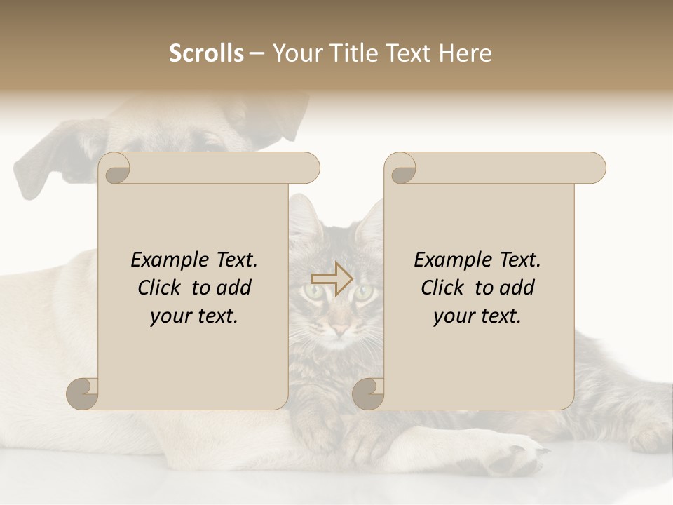 Muzzle Funny Youth PowerPoint Template