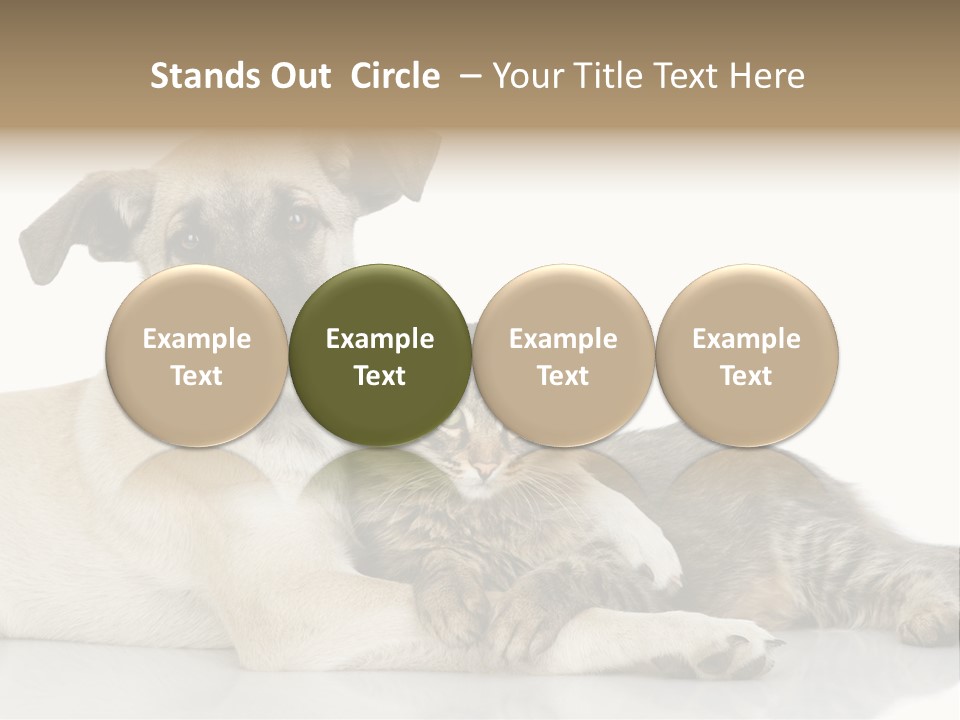 Muzzle Funny Youth PowerPoint Template