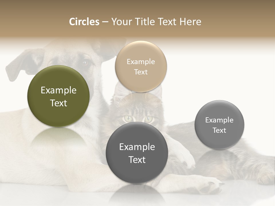 Muzzle Funny Youth PowerPoint Template