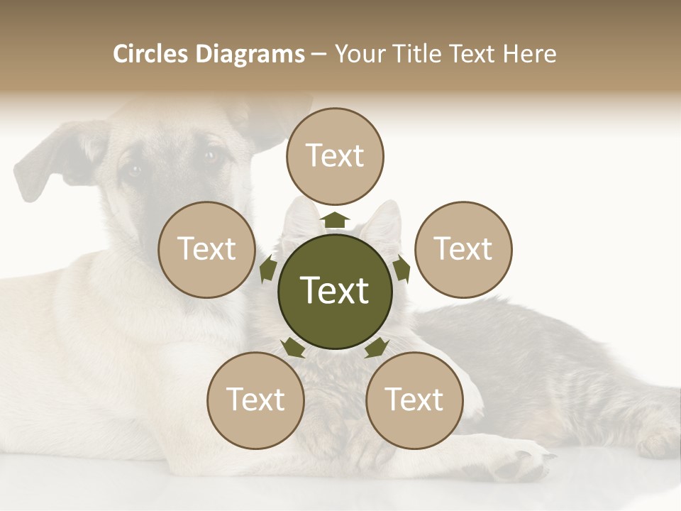 Muzzle Funny Youth PowerPoint Template