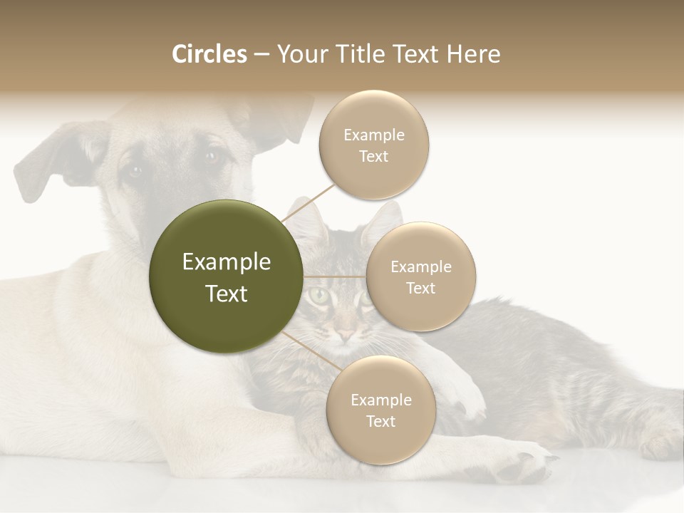 Muzzle Funny Youth PowerPoint Template