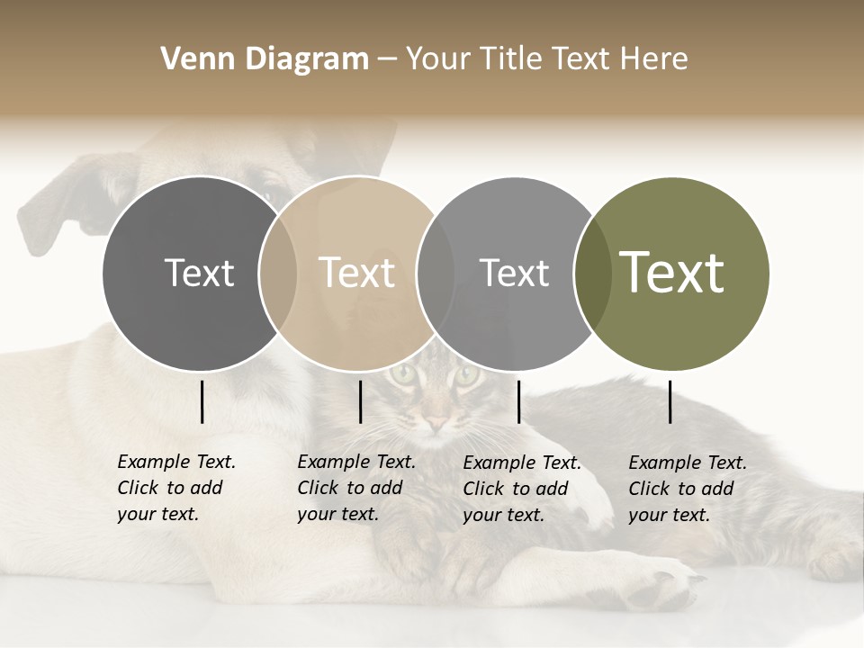 Muzzle Funny Youth PowerPoint Template