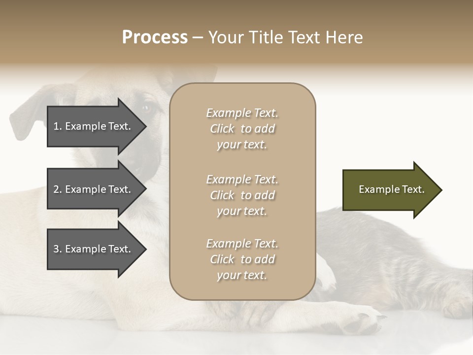 Muzzle Funny Youth PowerPoint Template