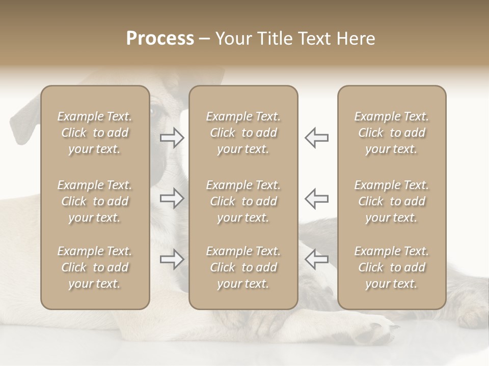 Muzzle Funny Youth PowerPoint Template