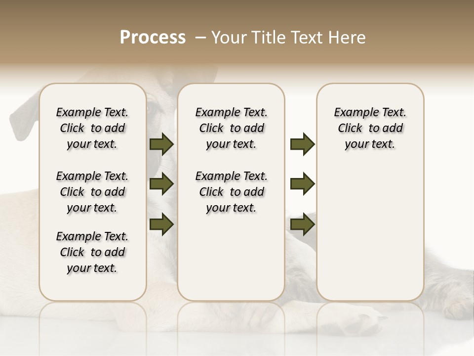 Muzzle Funny Youth PowerPoint Template