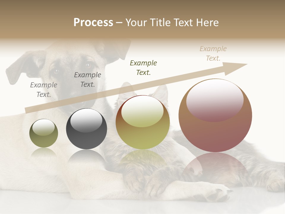 Muzzle Funny Youth PowerPoint Template