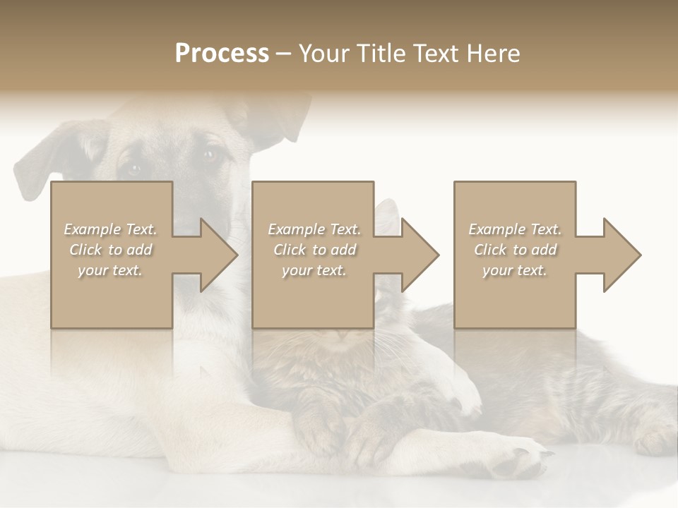 Muzzle Funny Youth PowerPoint Template