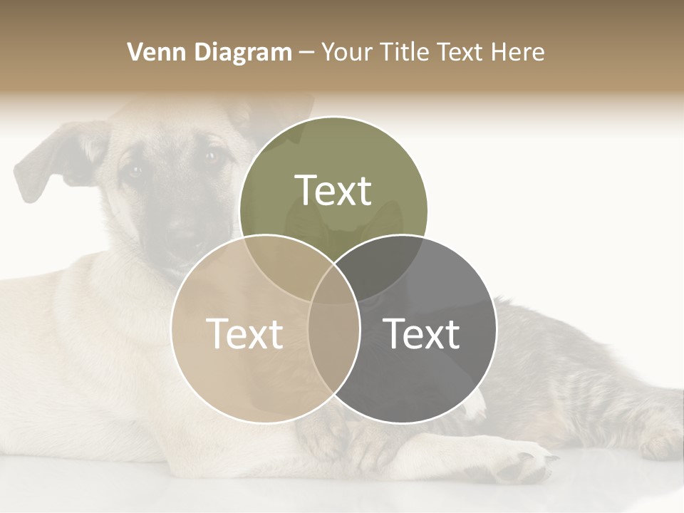 Muzzle Funny Youth PowerPoint Template