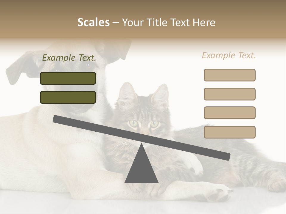 Muzzle Funny Youth PowerPoint Template