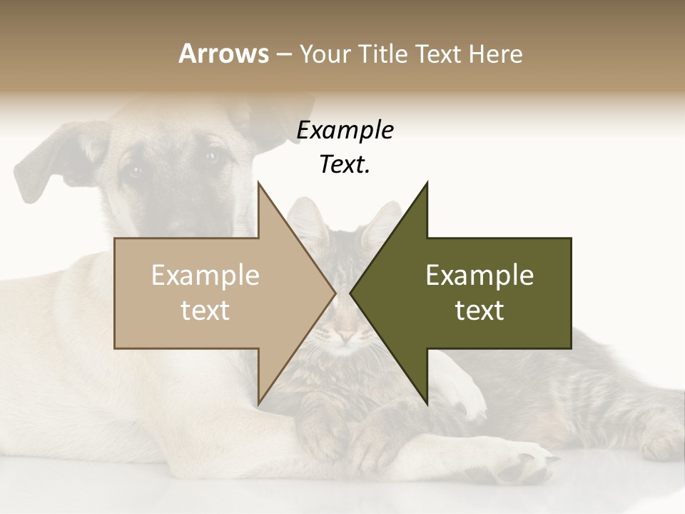 Muzzle Funny Youth PowerPoint Template