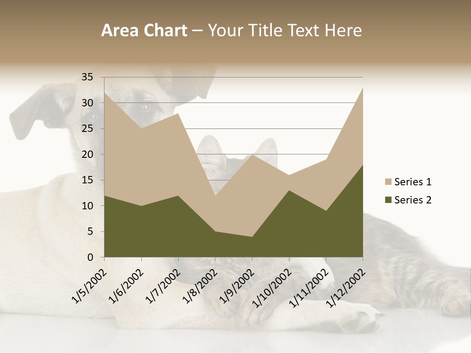 Muzzle Funny Youth PowerPoint Template