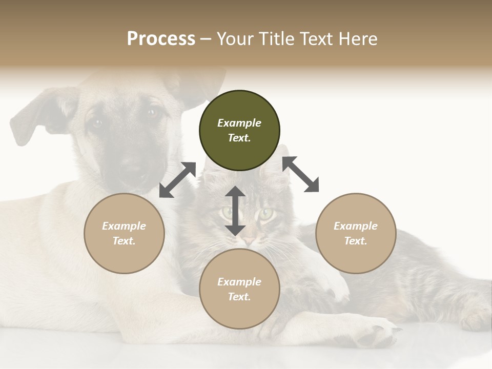 Muzzle Funny Youth PowerPoint Template