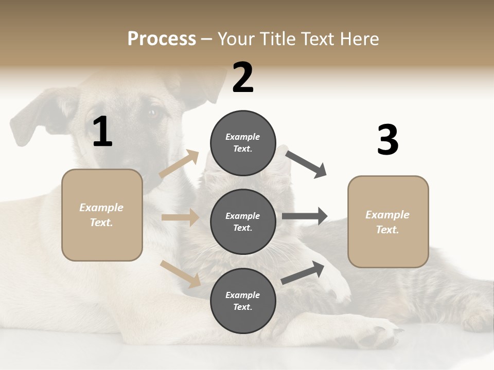 Muzzle Funny Youth PowerPoint Template